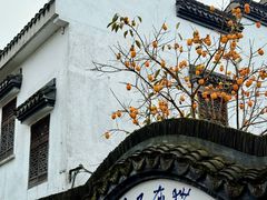 -丝绸小镇荻港古村