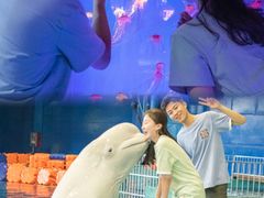 -威海华夏城景区