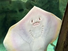 -珠海长隆海洋王国