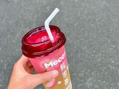 -凤城·食都