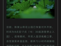 -陈家山荷花公园