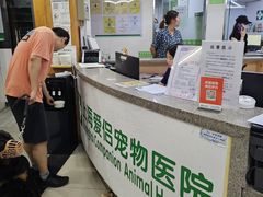 -爱侣宠医·鹦鹉专科·小型哺乳类·异宠专科(灵石路店)