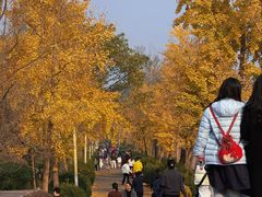 -白鹭湾湿地公园