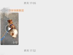 -美联众合动物医院·24h京西诊疗中心
