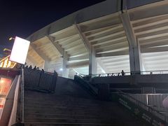 -大孩龙虾(体育场旗舰店)