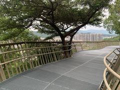 -福道