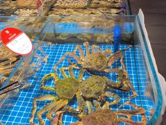 -连鹭海鲜·海肠捞饭·海胆饭(星海店)