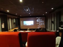 -华美国际影城(旧宫永辉店)