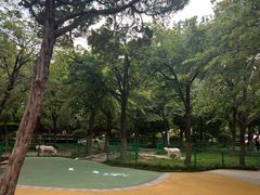 -贮水山儿童公园