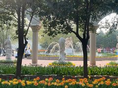 -洛阳郁金香牡丹园