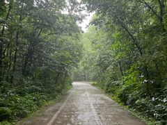 -青峰峡国家森林公园