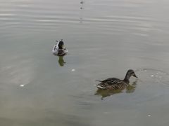 -太阳宫公园