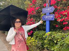 -西涌国际滨海旅游区