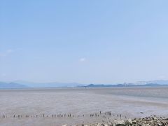 -深圳湾公园(南山区)