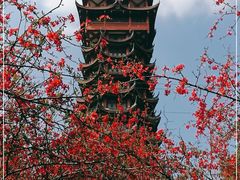 -塔子山公园