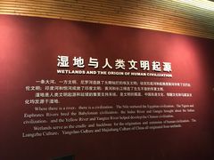 -中国湿地博物馆