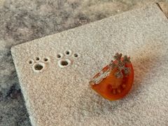 -程府宴(南长街四合院店)