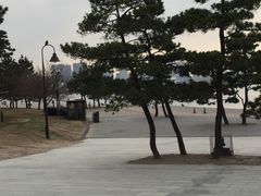 -台场海滨公园船码头