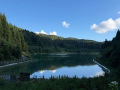 -武陵山森林公园