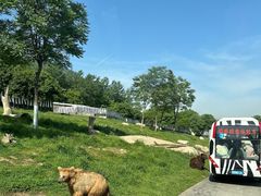 -西安秦岭野生动物园