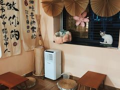 -楼上猫咖(罗湖店)