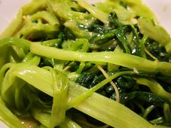 -茂港柏香(侨港路店)
