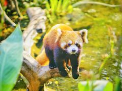 -长鹿旅游休博园