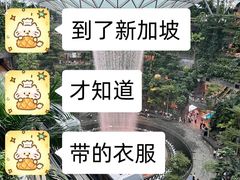 -圣淘沙天际线斜坡滑车