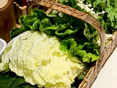 -浩爷羊蝎子火锅(望京店)