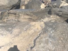-金巴兰鱼市场