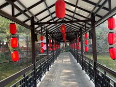 -侨美·唐荔园·40年地道粤菜