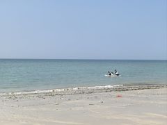 -贝壳沙滩