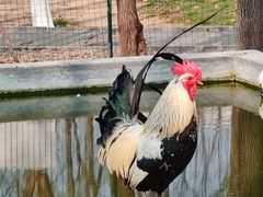 -山东艺术学院(长清校区)