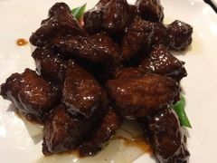 -碧丽宫大酒店(召稼楼店)
