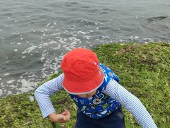 -青岛海景花园大酒店