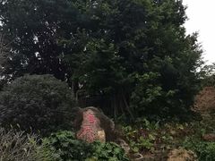 -乌山风景区