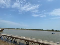 -大湾区中央湿地公园-十九涌