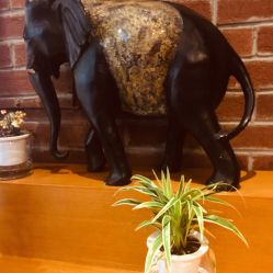 -时尚殿堂·颜SPA