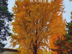 -颐和园