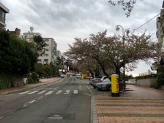 -海云台海滩
