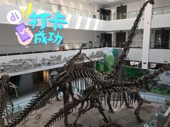 -中国地质大学逸夫博物馆