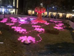 -悉尼歌剧院