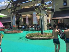 -苏州乐园森林水世界