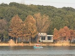 -昆山城市生态森林公园