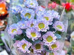 -循礼门鲜花花市(武汉循礼门店)