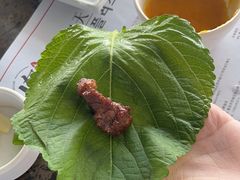 -肉加韩国料理·烤肉(金茂湾店)