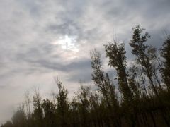 1-顺鑫绿色度假村