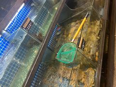 -严州府·地道建德菜