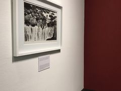 -中国版画博物馆