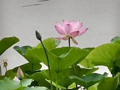 -燕郊植物园